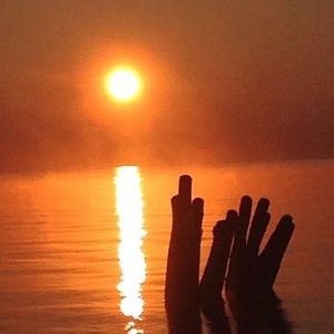 Meet your Posher, Sharon